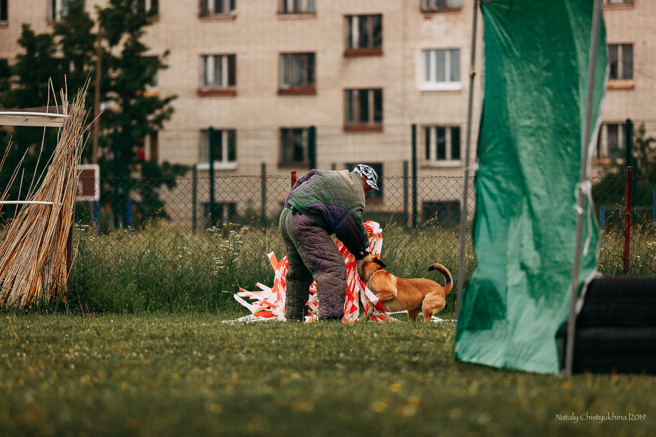 Соревнования БРР. Фотограф-анималист Наталия Чистюхина в г. Сосновый Бор и ЛО