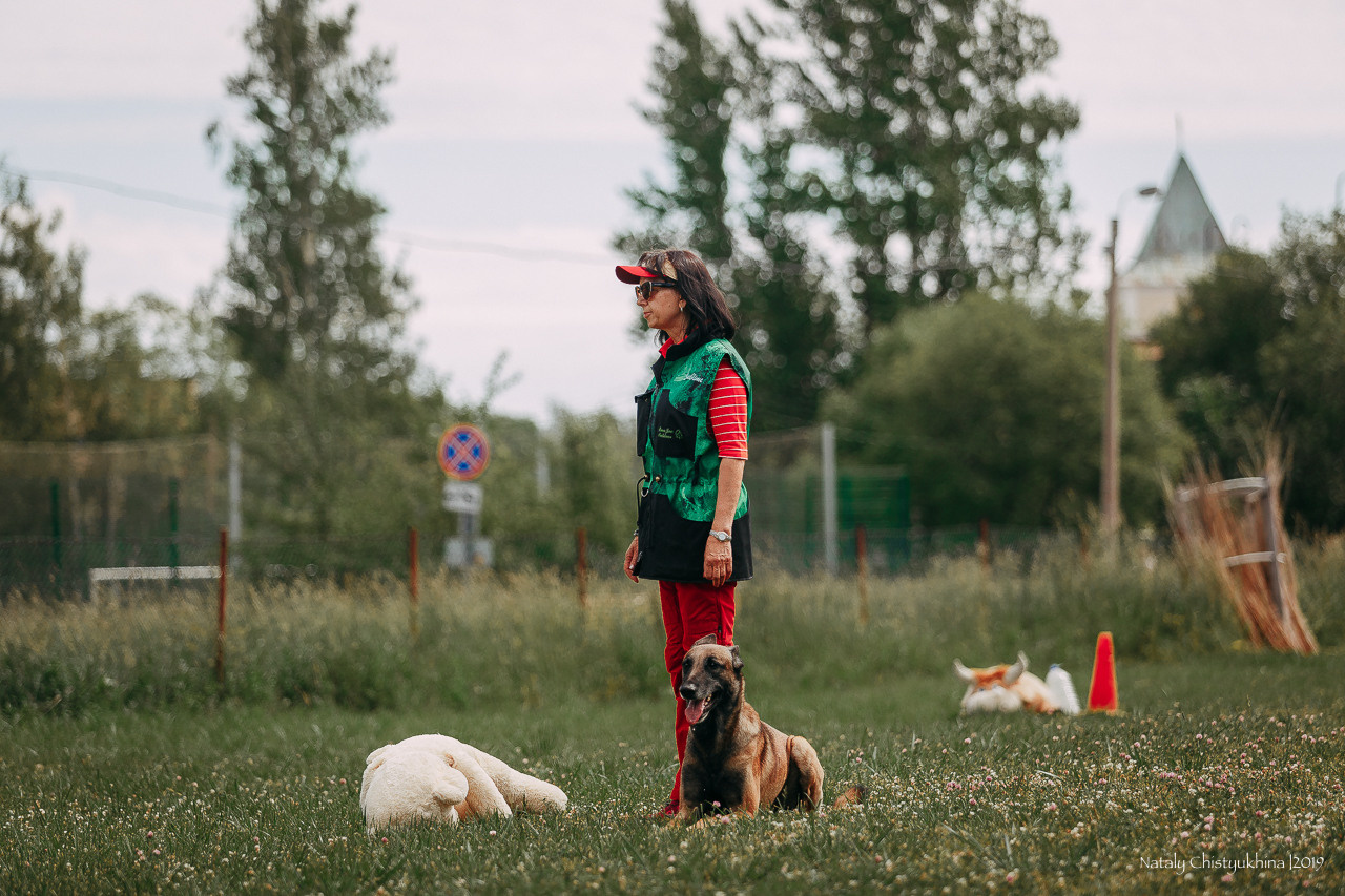 Соревнования по мондьорингу. Фотограф-анималист Наталия Чистюхина в г. Сосновый Бор и ЛО