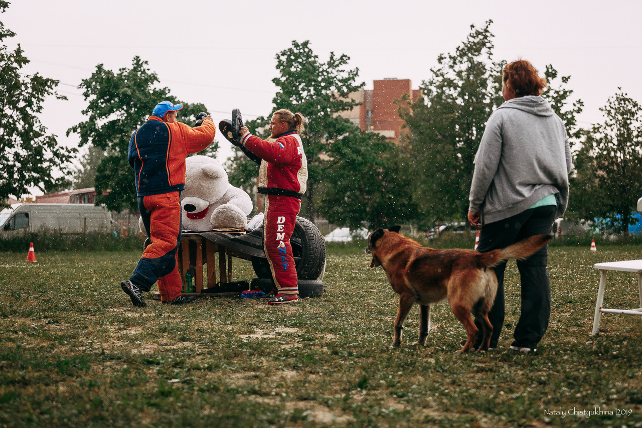 Соревнования по мондьорингу. Фотограф-анималист Наталия Чистюхина в г. Сосновый Бор и ЛО