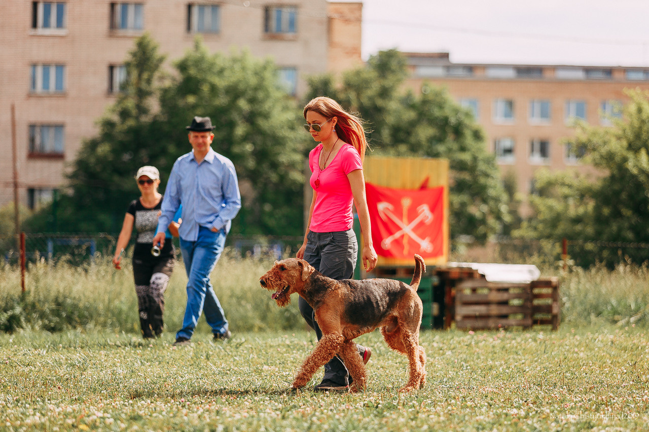 Соревнования по мондьорингу. Фотограф-анималист Наталия Чистюхина в г. Сосновый Бор и ЛО