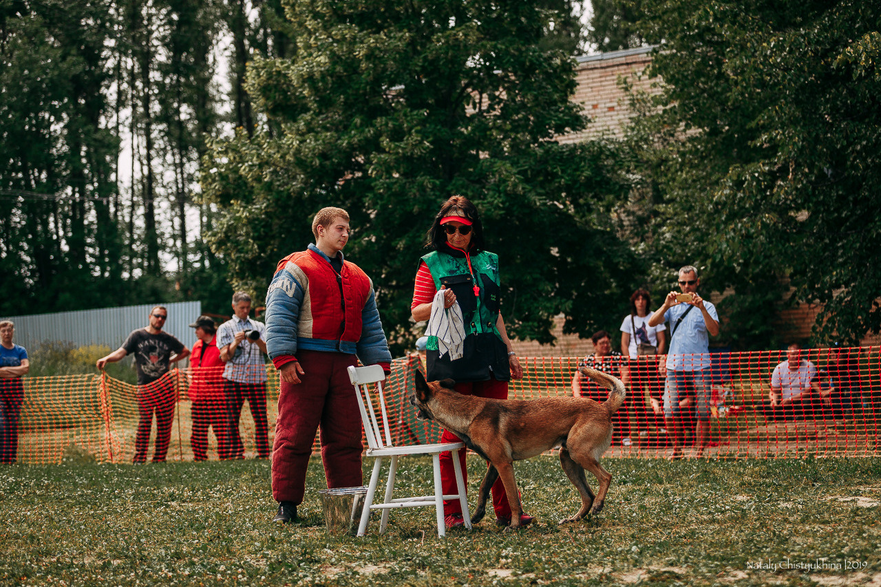 Соревнования по мондьорингу. Фотограф-анималист Наталия Чистюхина в г. Сосновый Бор и ЛО
