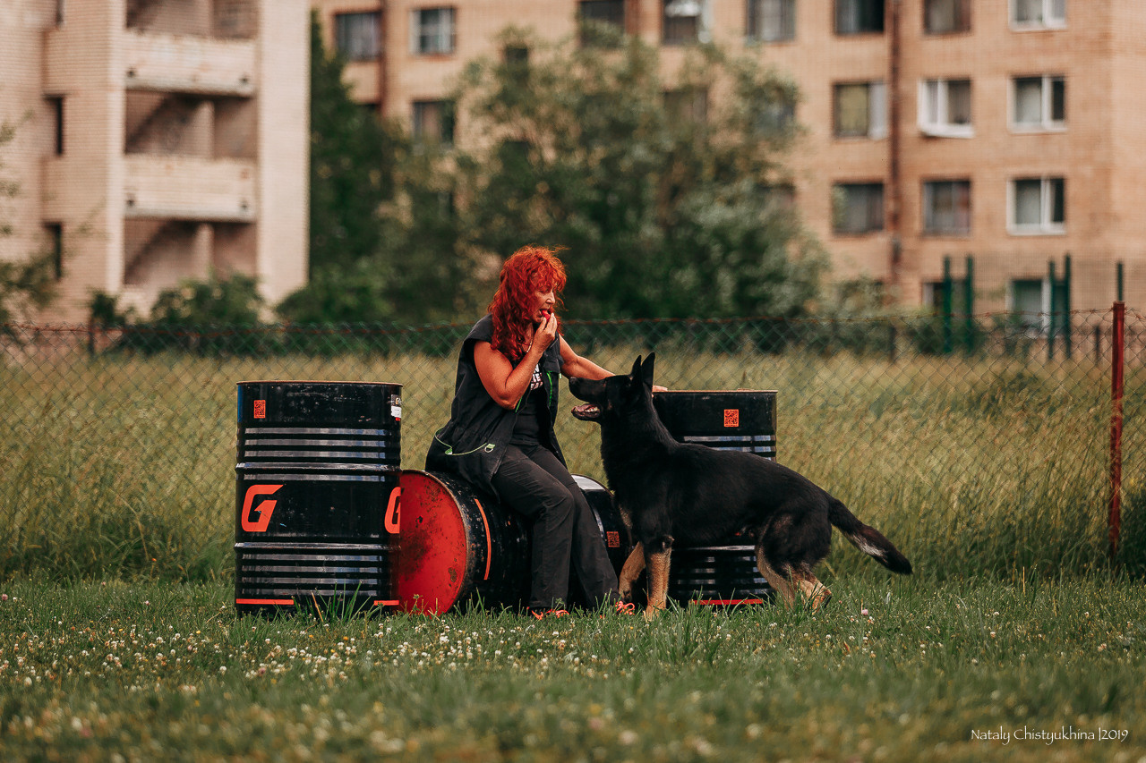 Соревнования по мондьорингу. Фотограф-анималист Наталия Чистюхина в г. Сосновый Бор и ЛО