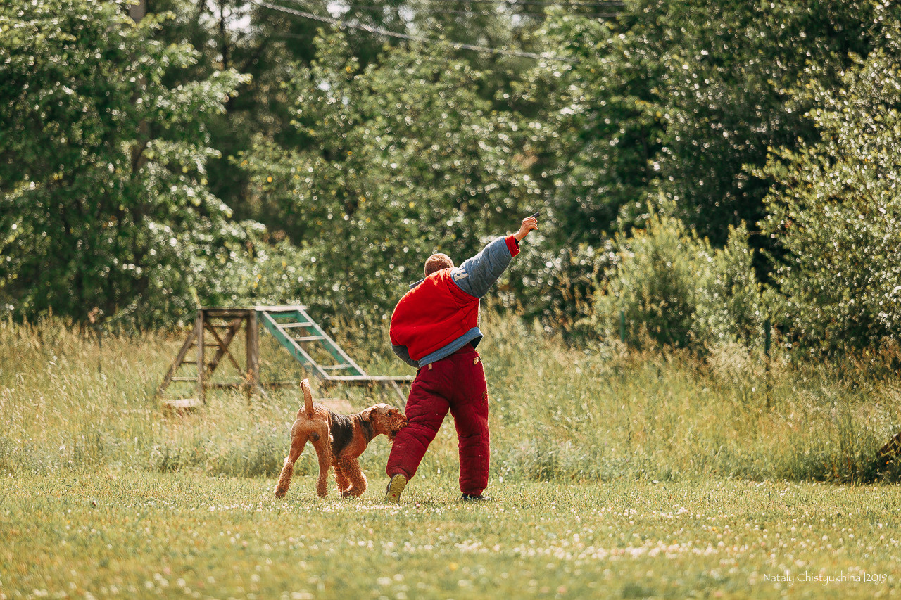 Соревнования по мондьорингу. Фотограф-анималист Наталия Чистюхина в г. Сосновый Бор и ЛО