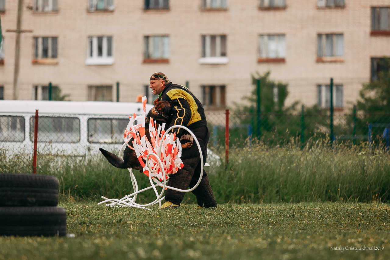 Соревнования БРР. Фотограф-анималист Наталия Чистюхина в г. Сосновый Бор и ЛО