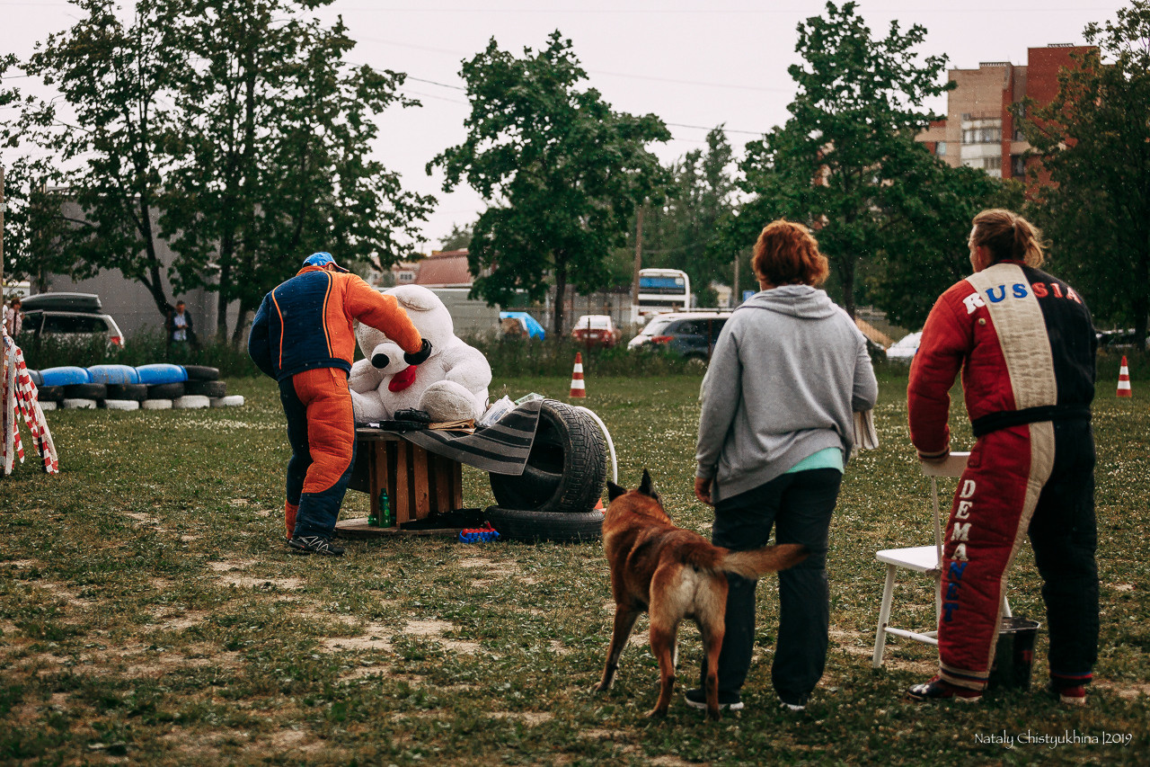 Соревнования по мондьорингу. Фотограф-анималист Наталия Чистюхина в г. Сосновый Бор и ЛО