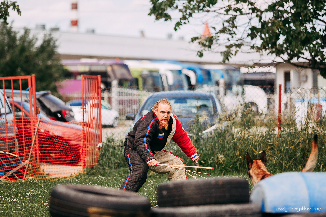 Соревнования по мондьорингу. Фотограф-анималист Наталия Чистюхина в г. Сосновый Бор и ЛО