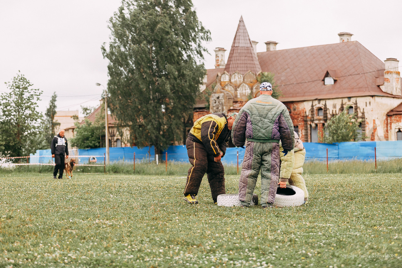 Соревнования БРР. Фотограф-анималист Наталия Чистюхина в г. Сосновый Бор и ЛО
