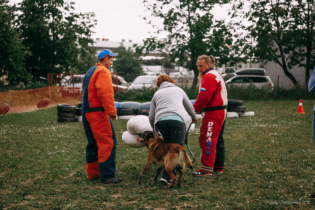 Соревнования по мондьорингу. Фотограф-анималист Наталия Чистюхина в г. Сосновый Бор и ЛО