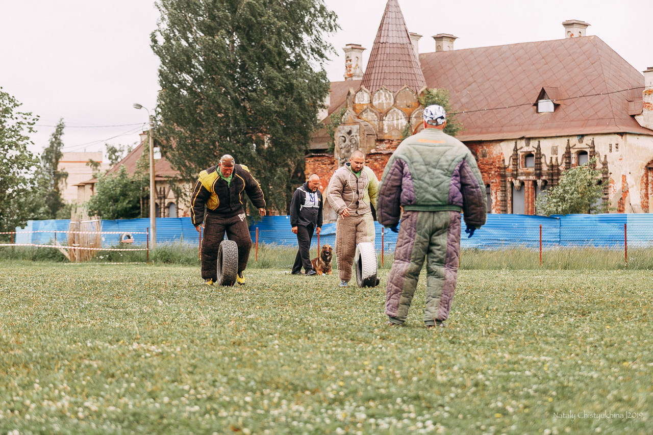Соревнования БРР. Фотограф-анималист Наталия Чистюхина в г. Сосновый Бор и ЛО