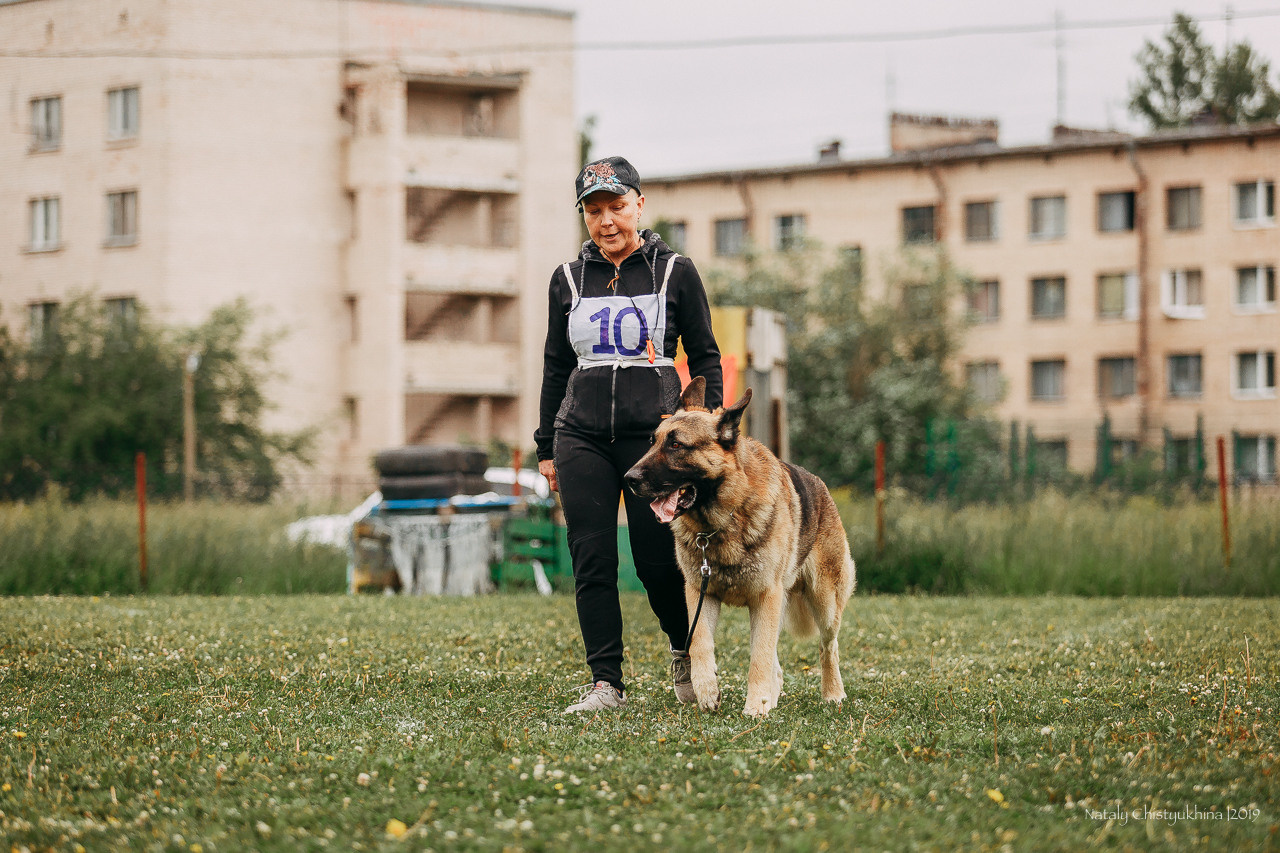 Соревнования БРР. Фотограф-анималист Наталия Чистюхина в г. Сосновый Бор и ЛО