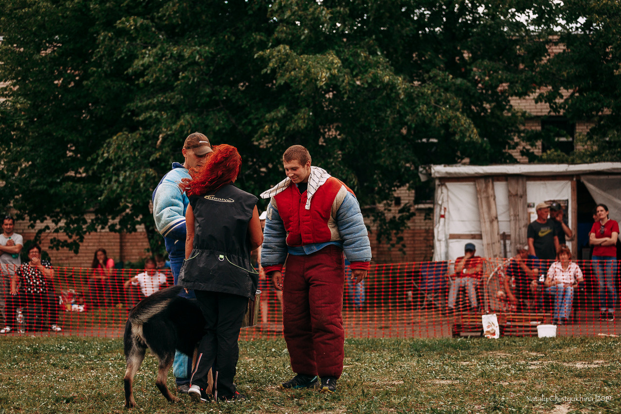 Соревнования по мондьорингу. Фотограф-анималист Наталия Чистюхина в г. Сосновый Бор и ЛО
