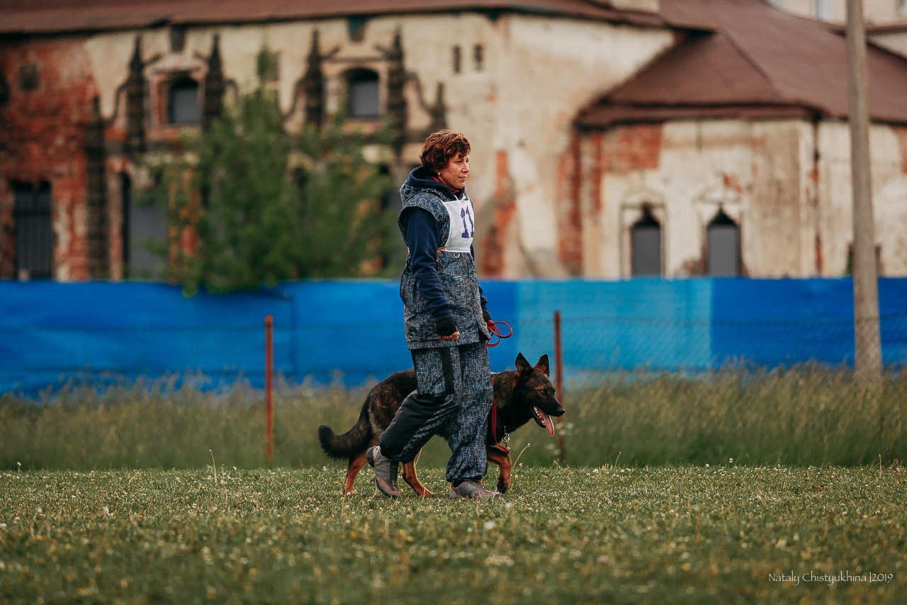 Соревнования БРР. Фотограф-анималист Наталия Чистюхина в г. Сосновый Бор и ЛО