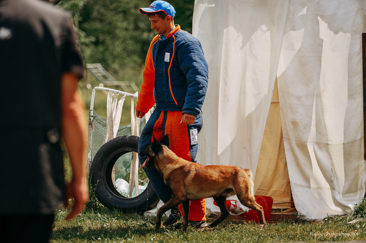 Соревнования по мондьорингу. Фотограф-анималист Наталия Чистюхина в г. Сосновый Бор и ЛО