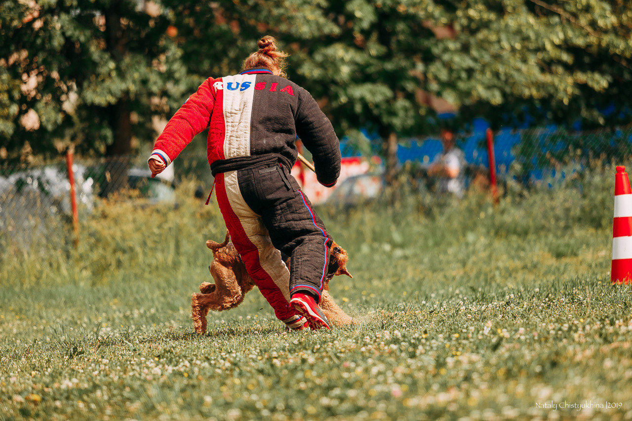 Соревнования по мондьорингу. Фотограф-анималист Наталия Чистюхина в г. Сосновый Бор и ЛО