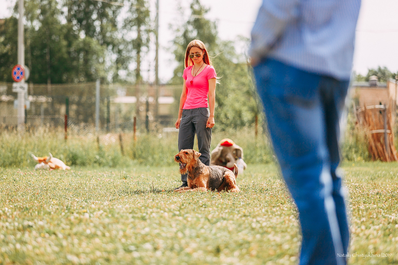 Соревнования по мондьорингу. Фотограф-анималист Наталия Чистюхина в г. Сосновый Бор и ЛО