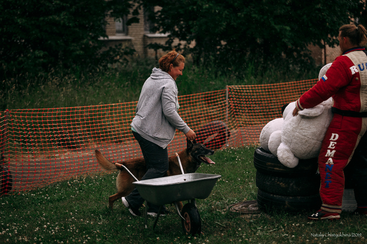 Соревнования по мондьорингу. Фотограф-анималист Наталия Чистюхина в г. Сосновый Бор и ЛО