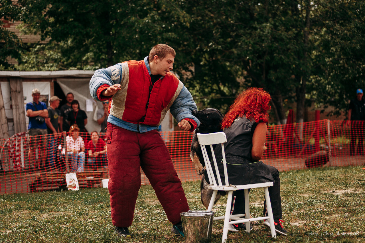 Соревнования по мондьорингу. Фотограф-анималист Наталия Чистюхина в г. Сосновый Бор и ЛО