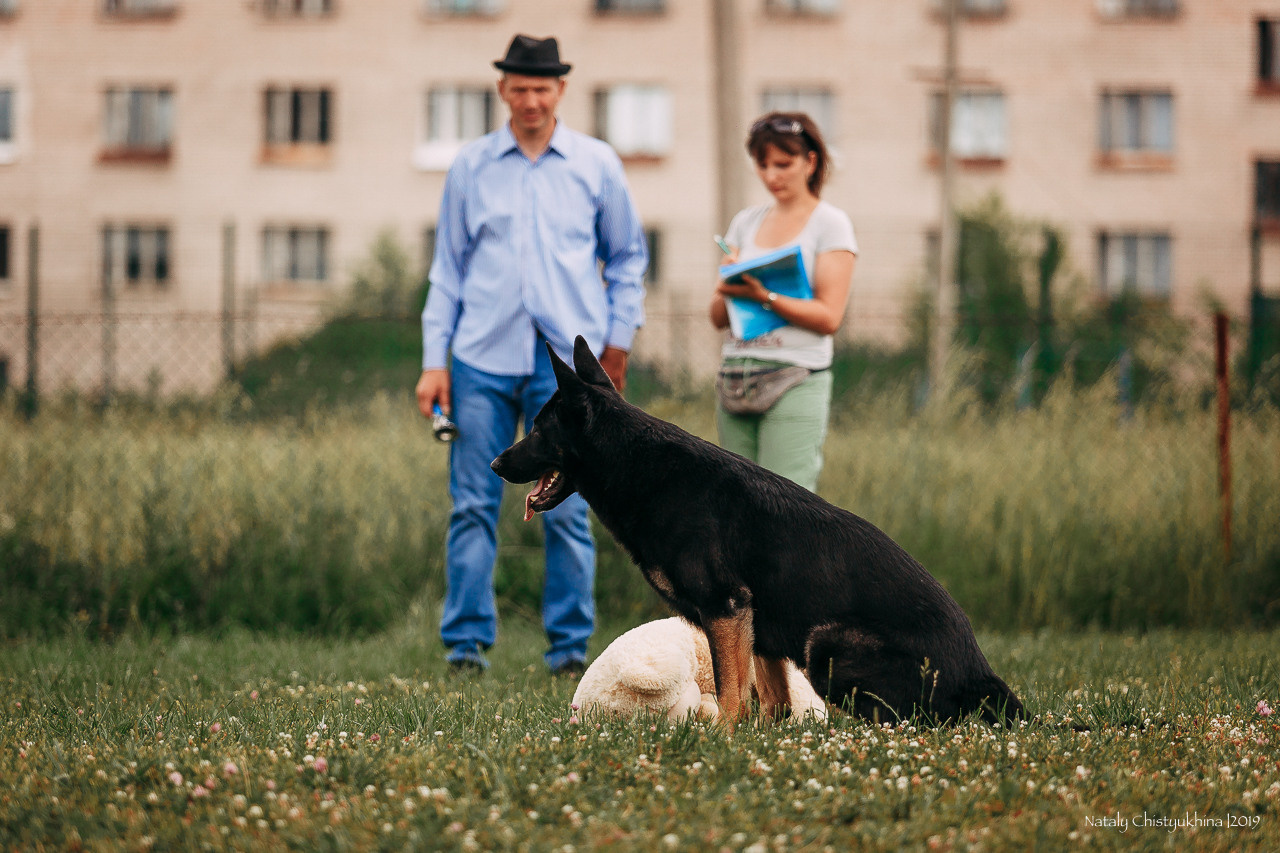 Соревнования по мондьорингу. Фотограф-анималист Наталия Чистюхина в г. Сосновый Бор и ЛО