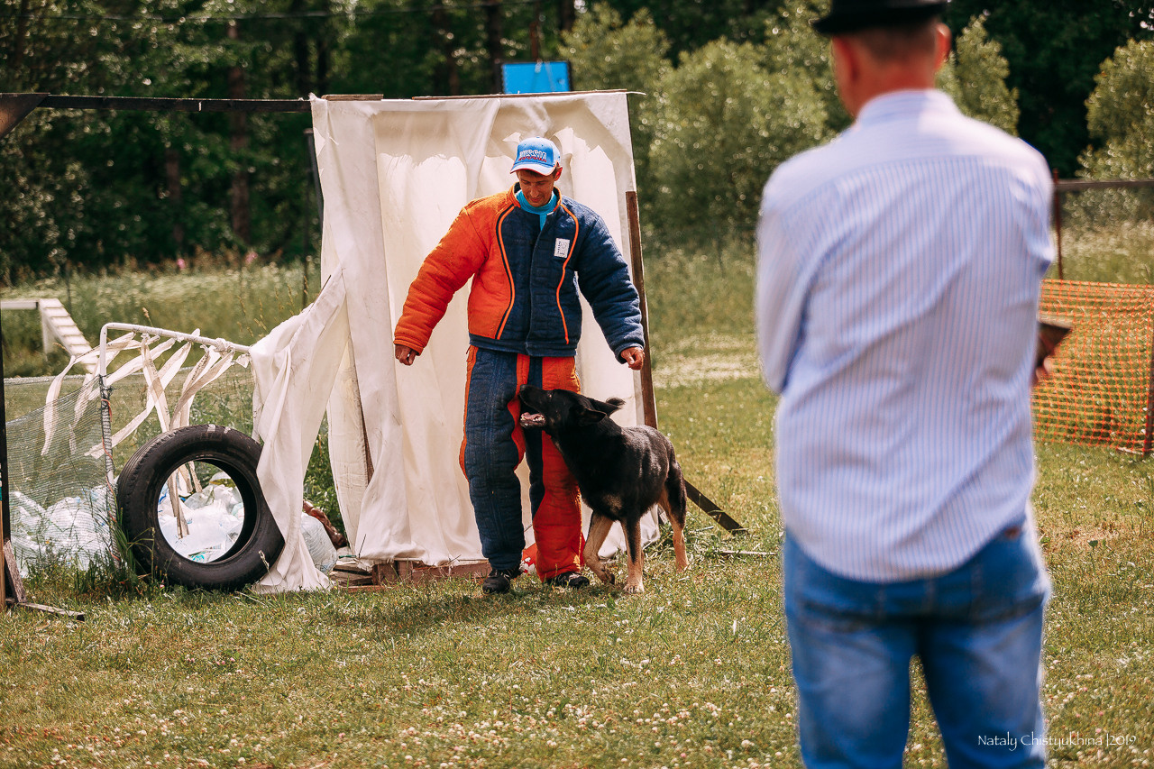 Соревнования по мондьорингу. Фотограф-анималист Наталия Чистюхина в г. Сосновый Бор и ЛО