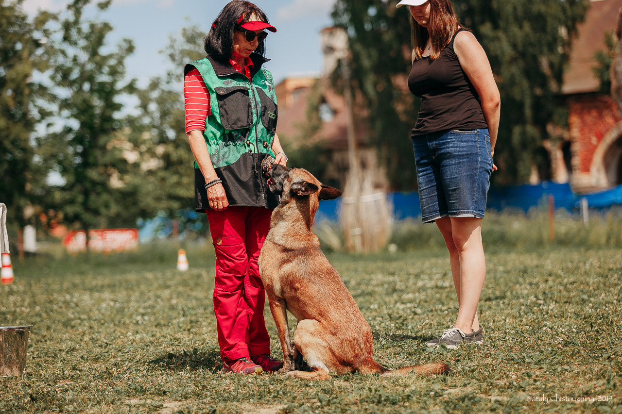 Соревнования по мондьорингу. Фотограф-анималист Наталия Чистюхина в г. Сосновый Бор и ЛО