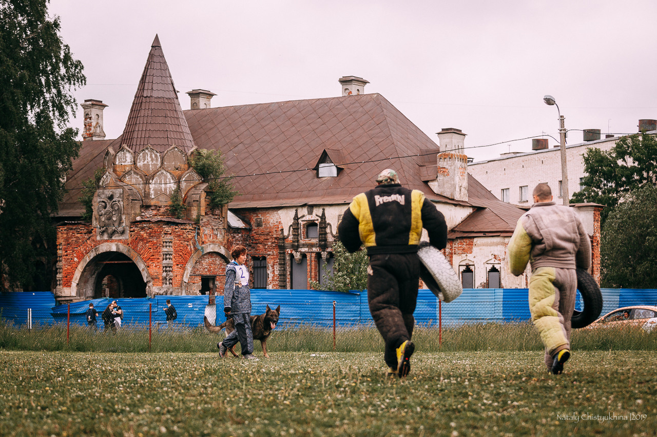 Соревнования БРР. Фотограф-анималист Наталия Чистюхина в г. Сосновый Бор и ЛО