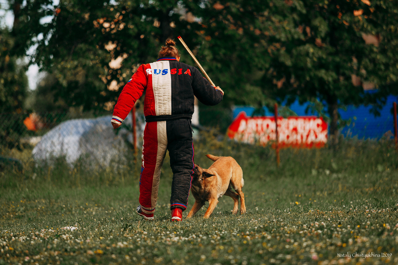 Соревнования по мондьорингу. Фотограф-анималист Наталия Чистюхина в г. Сосновый Бор и ЛО