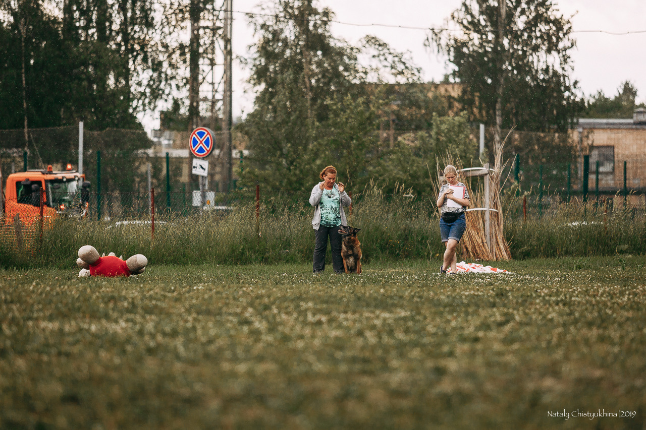 Соревнования по мондьорингу. Фотограф-анималист Наталия Чистюхина в г. Сосновый Бор и ЛО
