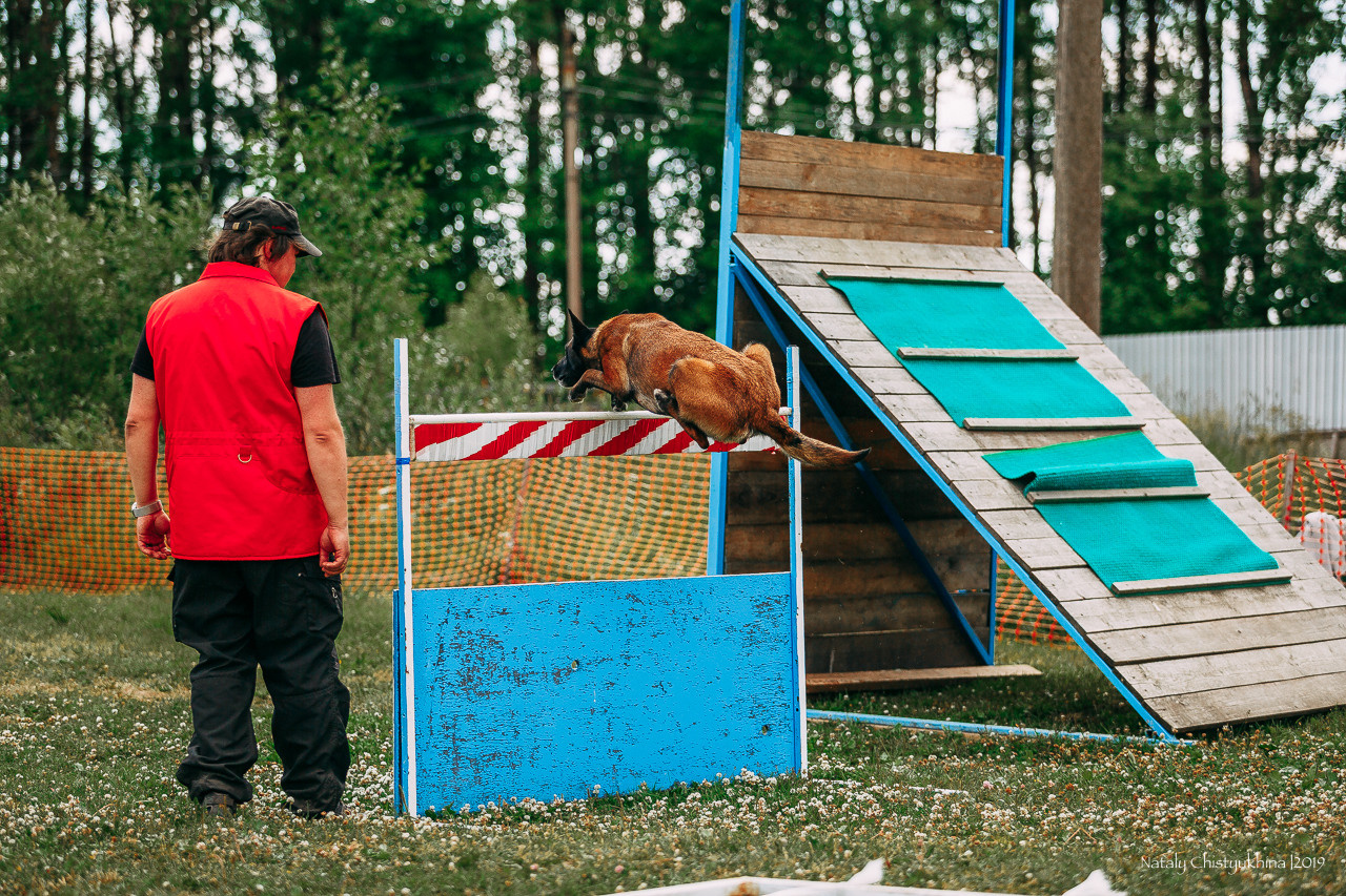 Соревнования по мондьорингу. Фотограф-анималист Наталия Чистюхина в г. Сосновый Бор и ЛО
