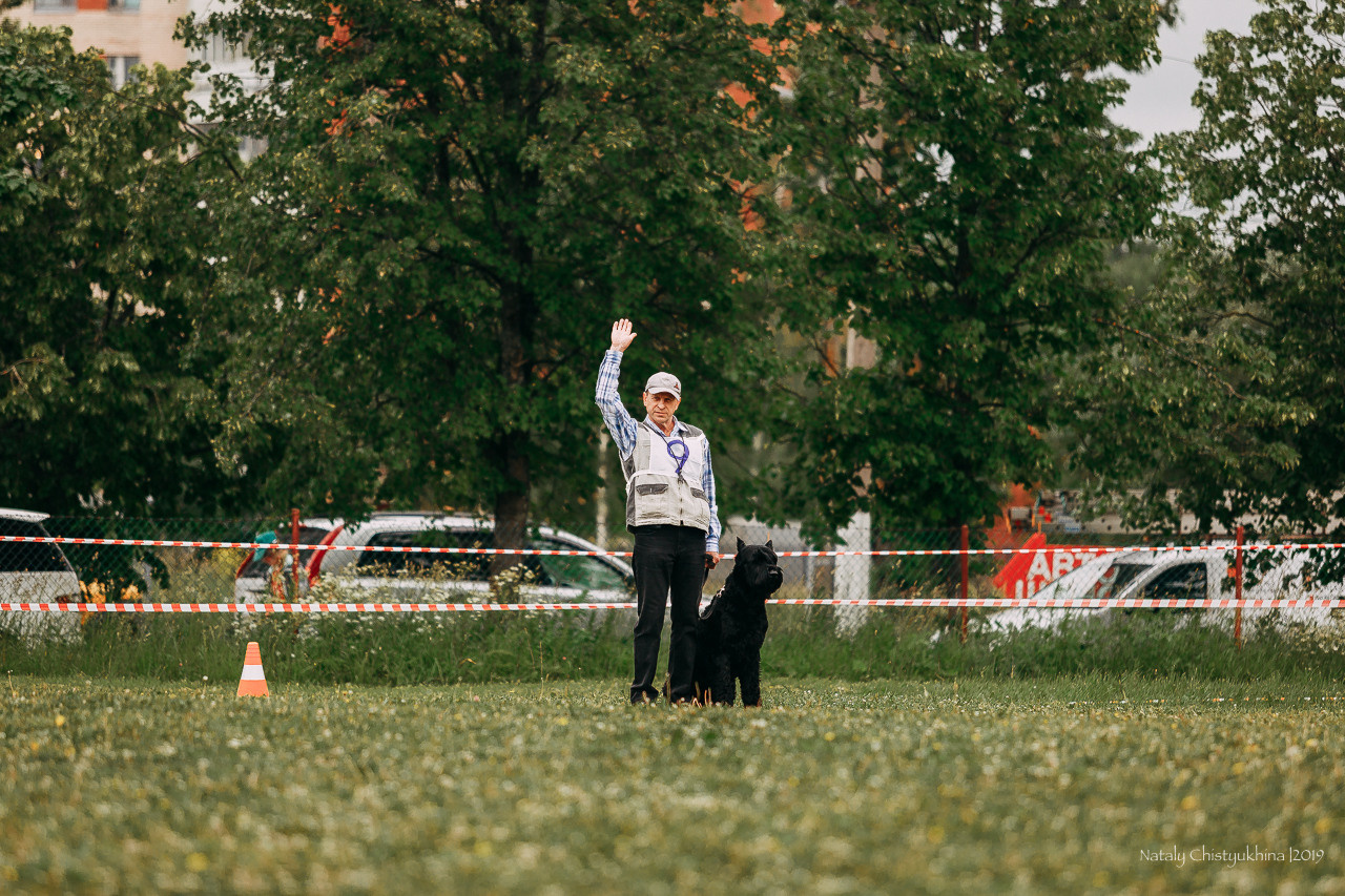 Соревнования БРР. Фотограф-анималист Наталия Чистюхина в г. Сосновый Бор и ЛО