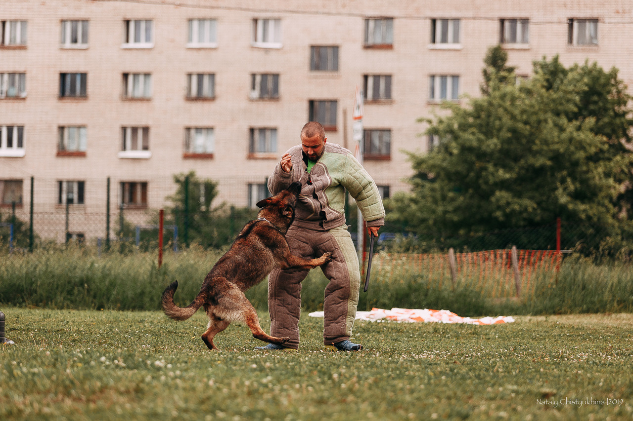 Соревнования БРР. Фотограф-анималист Наталия Чистюхина в г. Сосновый Бор и ЛО