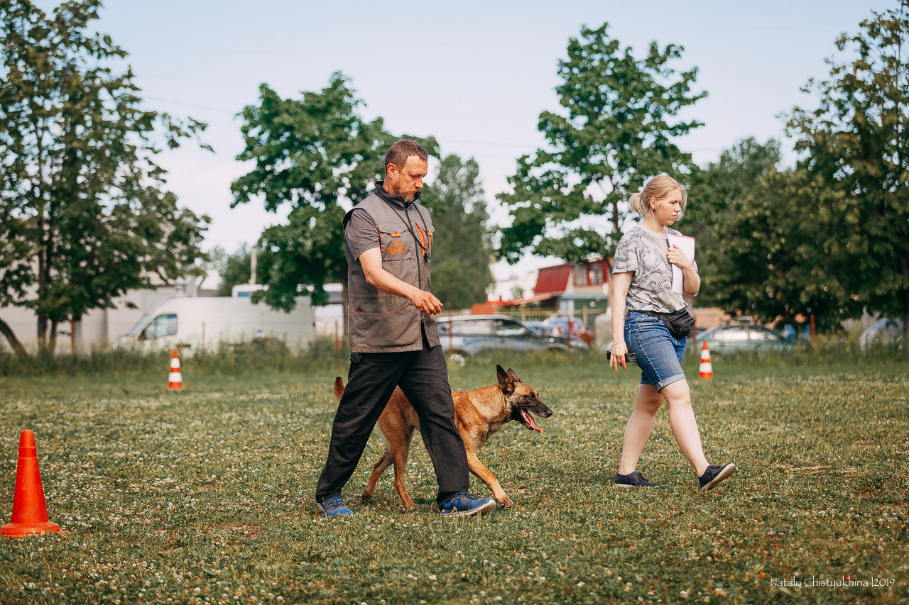 Соревнования по мондьорингу. Фотограф-анималист Наталия Чистюхина в г. Сосновый Бор и ЛО
