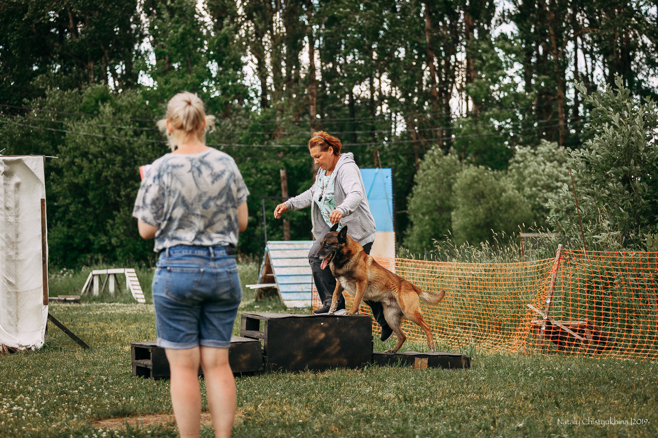 Соревнования по мондьорингу. Фотограф-анималист Наталия Чистюхина в г. Сосновый Бор и ЛО