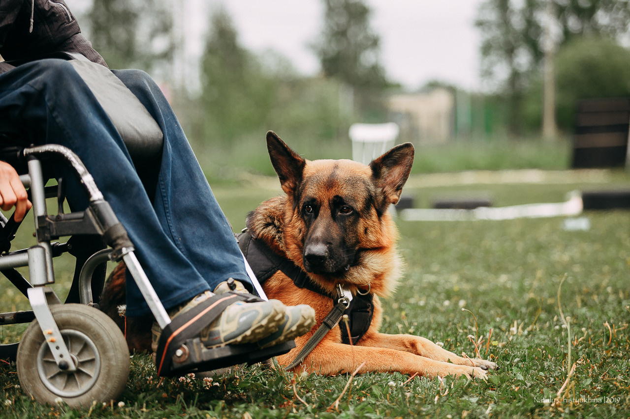 Соревнования БРР. Фотограф-анималист Наталия Чистюхина в г. Сосновый Бор и ЛО