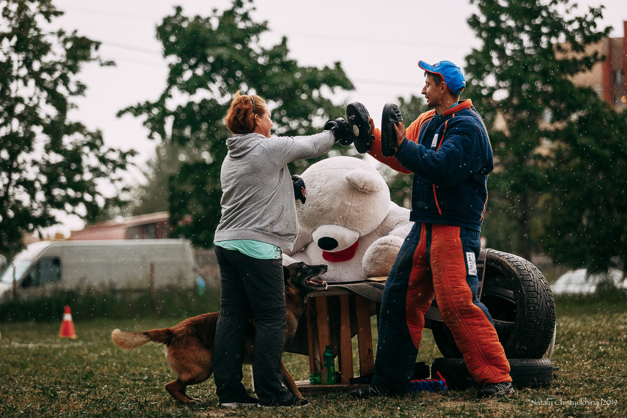 Соревнования по мондьорингу. Фотограф-анималист Наталия Чистюхина в г. Сосновый Бор и ЛО