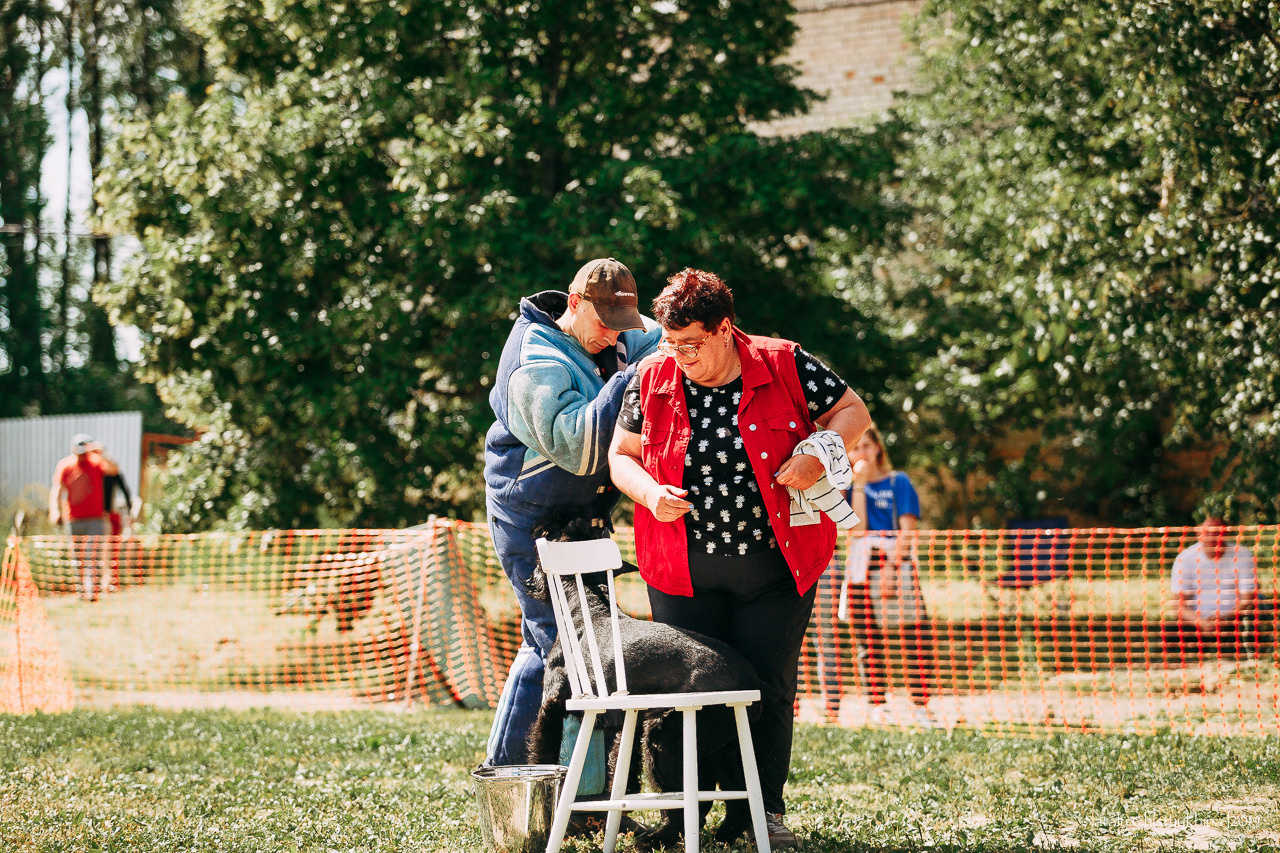 Соревнования по мондьорингу. Фотограф-анималист Наталия Чистюхина в г. Сосновый Бор и ЛО