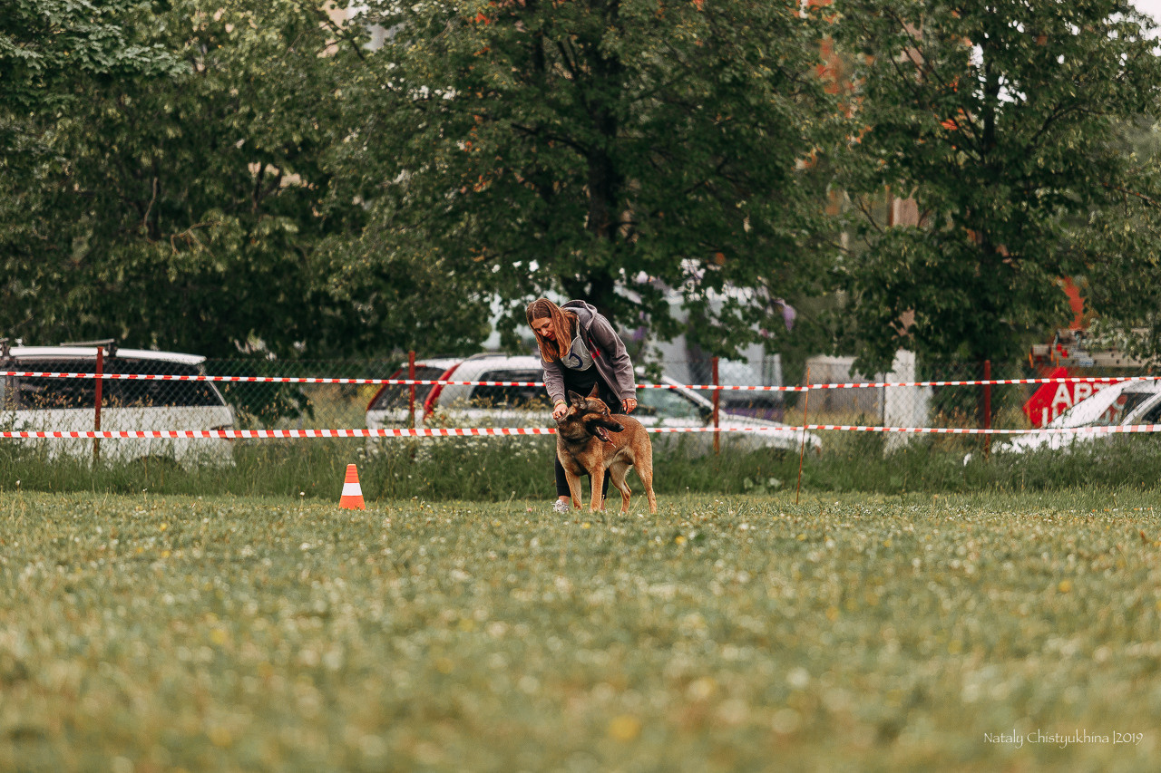 Соревнования БРР. Фотограф-анималист Наталия Чистюхина в г. Сосновый Бор и ЛО