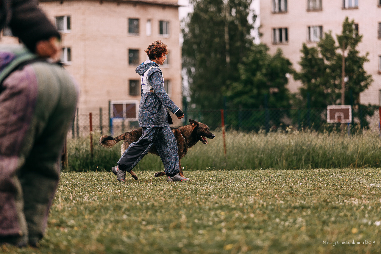 Соревнования БРР. Фотограф-анималист Наталия Чистюхина в г. Сосновый Бор и ЛО