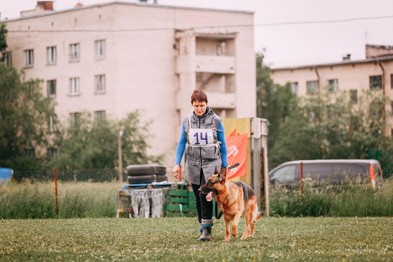 Соревнования БРР. Фотограф-анималист Наталия Чистюхина в г. Сосновый Бор и ЛО