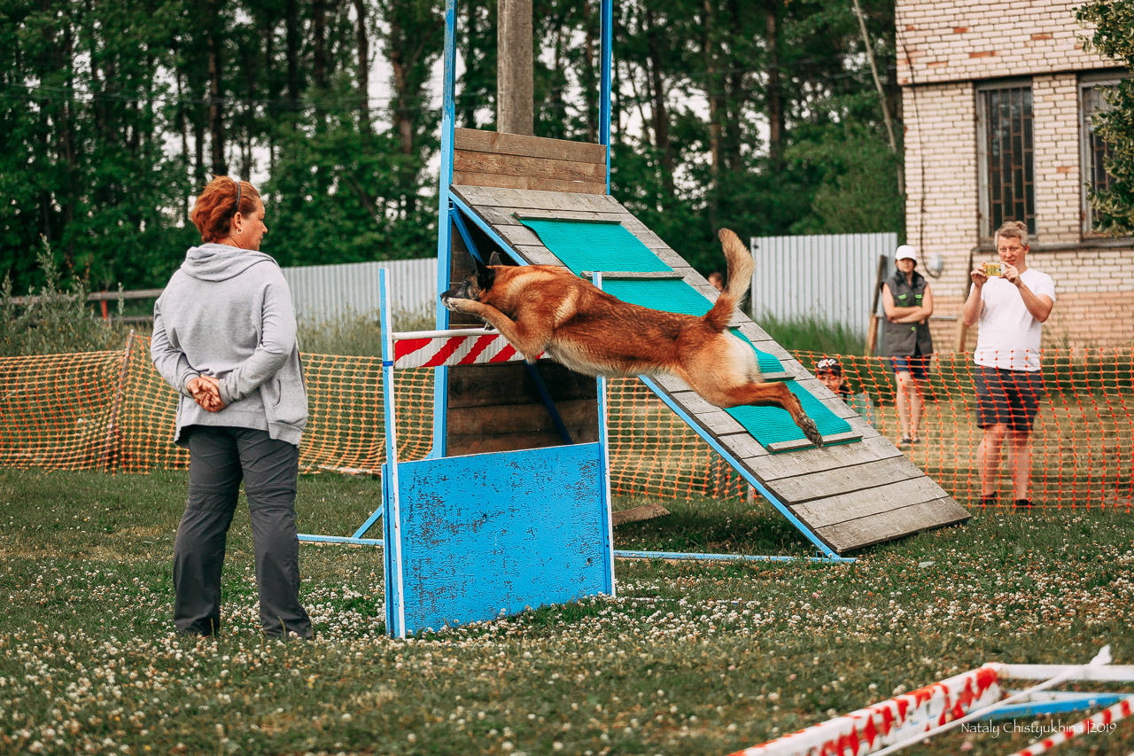 Соревнования по мондьорингу. Фотограф-анималист Наталия Чистюхина в г. Сосновый Бор и ЛО