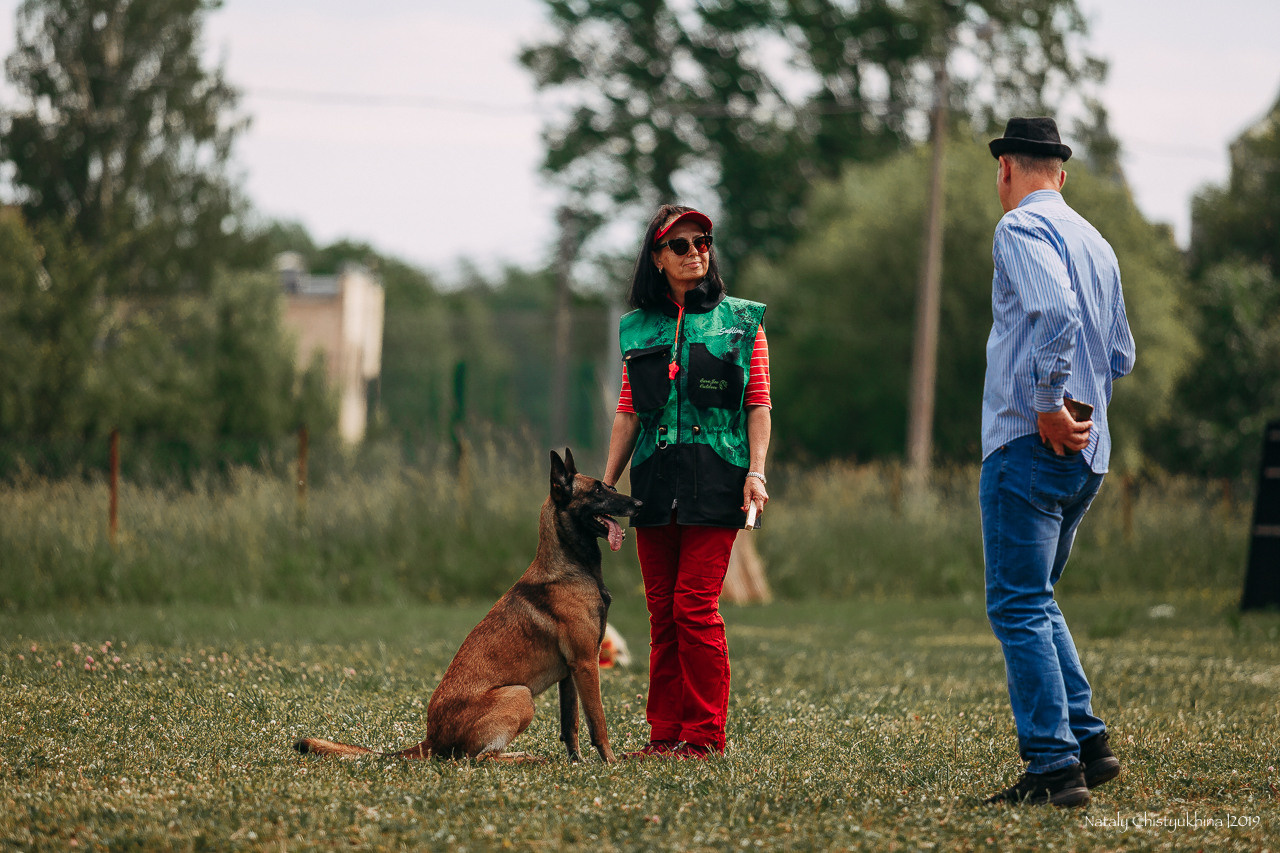 Соревнования по мондьорингу. Фотограф-анималист Наталия Чистюхина в г. Сосновый Бор и ЛО