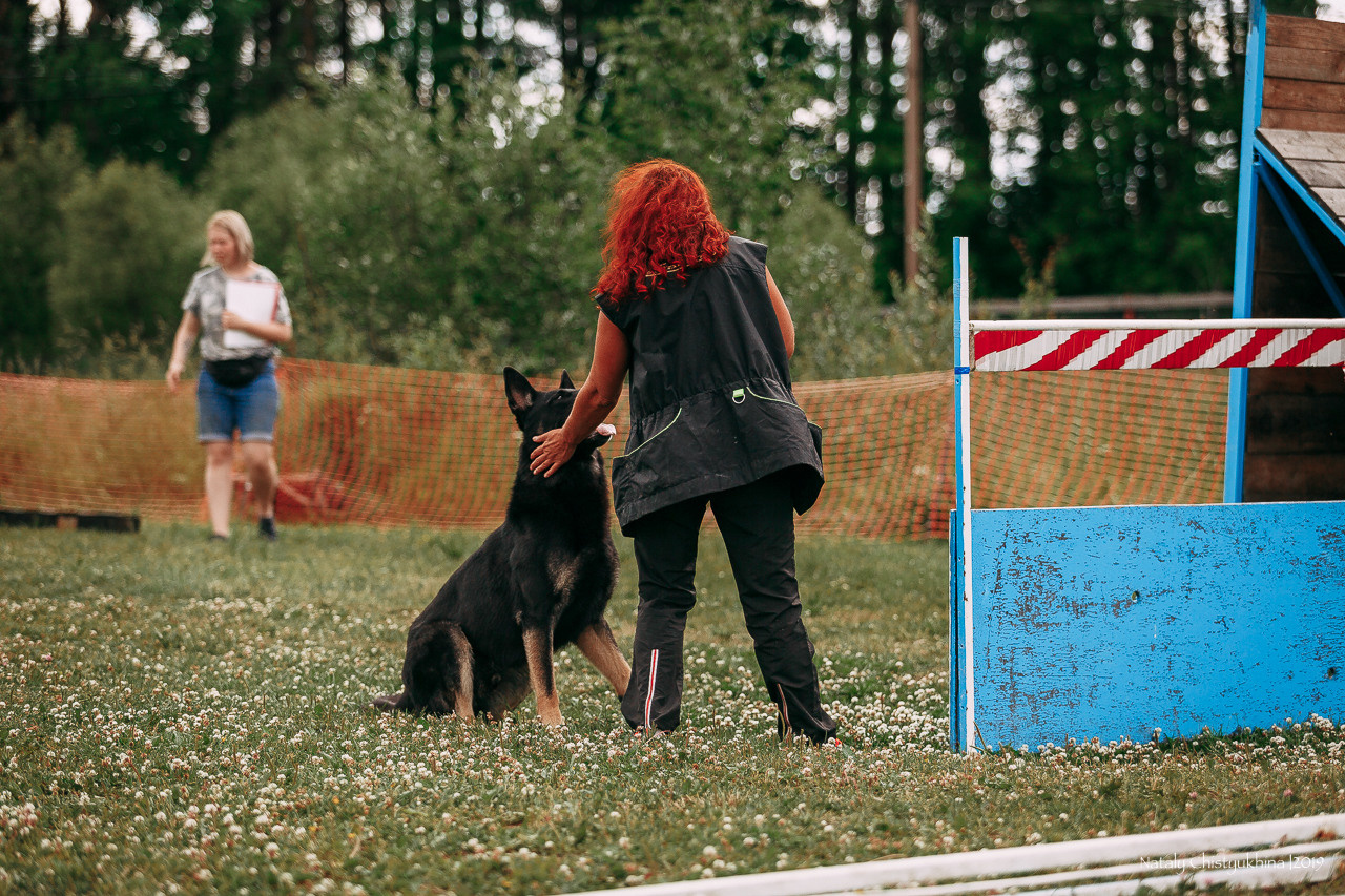 Соревнования по мондьорингу. Фотограф-анималист Наталия Чистюхина в г. Сосновый Бор и ЛО