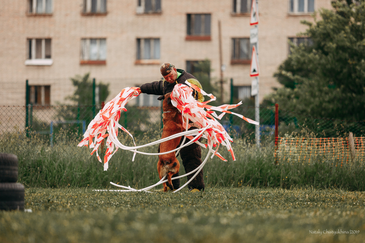 Соревнования БРР. Фотограф-анималист Наталия Чистюхина в г. Сосновый Бор и ЛО