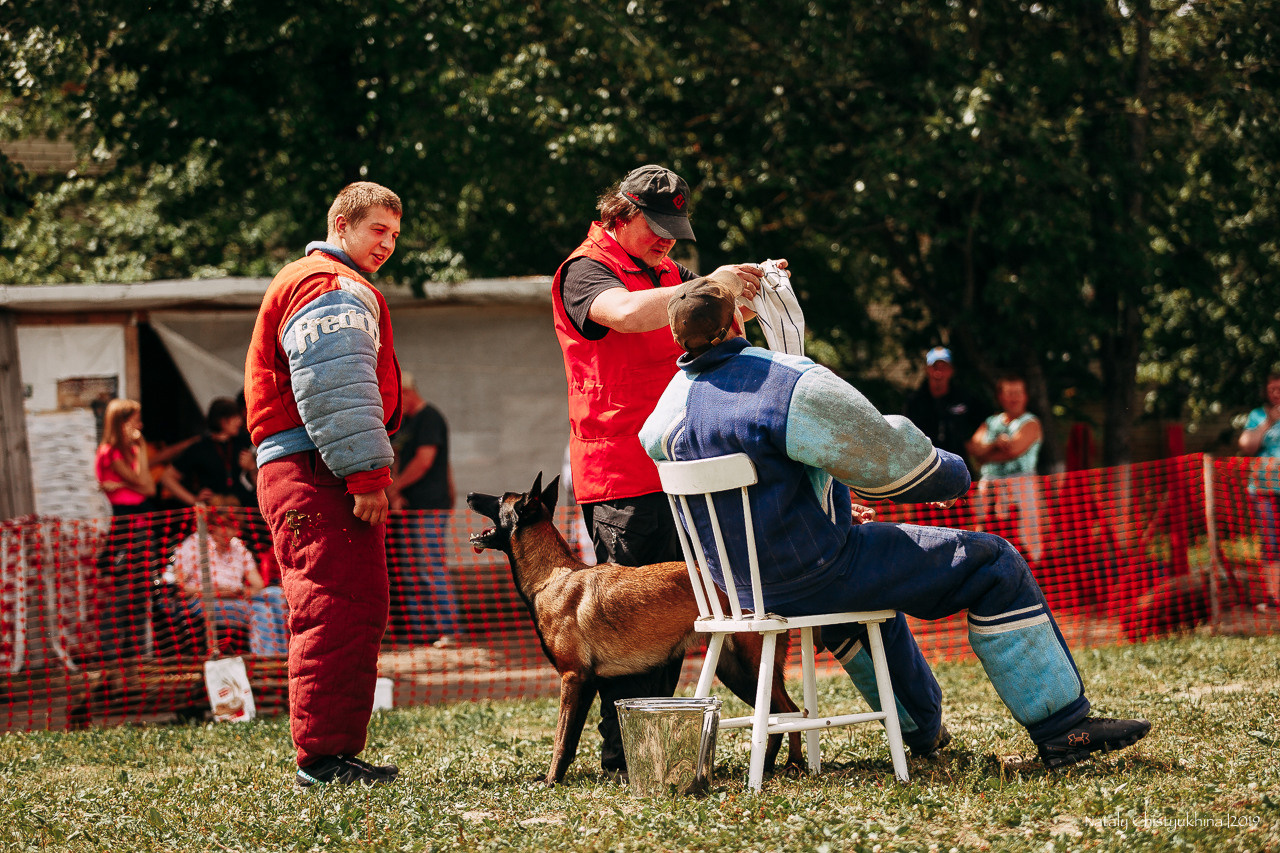 Соревнования по мондьорингу. Фотограф-анималист Наталия Чистюхина в г. Сосновый Бор и ЛО