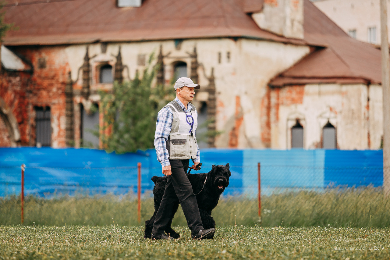 Соревнования БРР. Фотограф-анималист Наталия Чистюхина в г. Сосновый Бор и ЛО