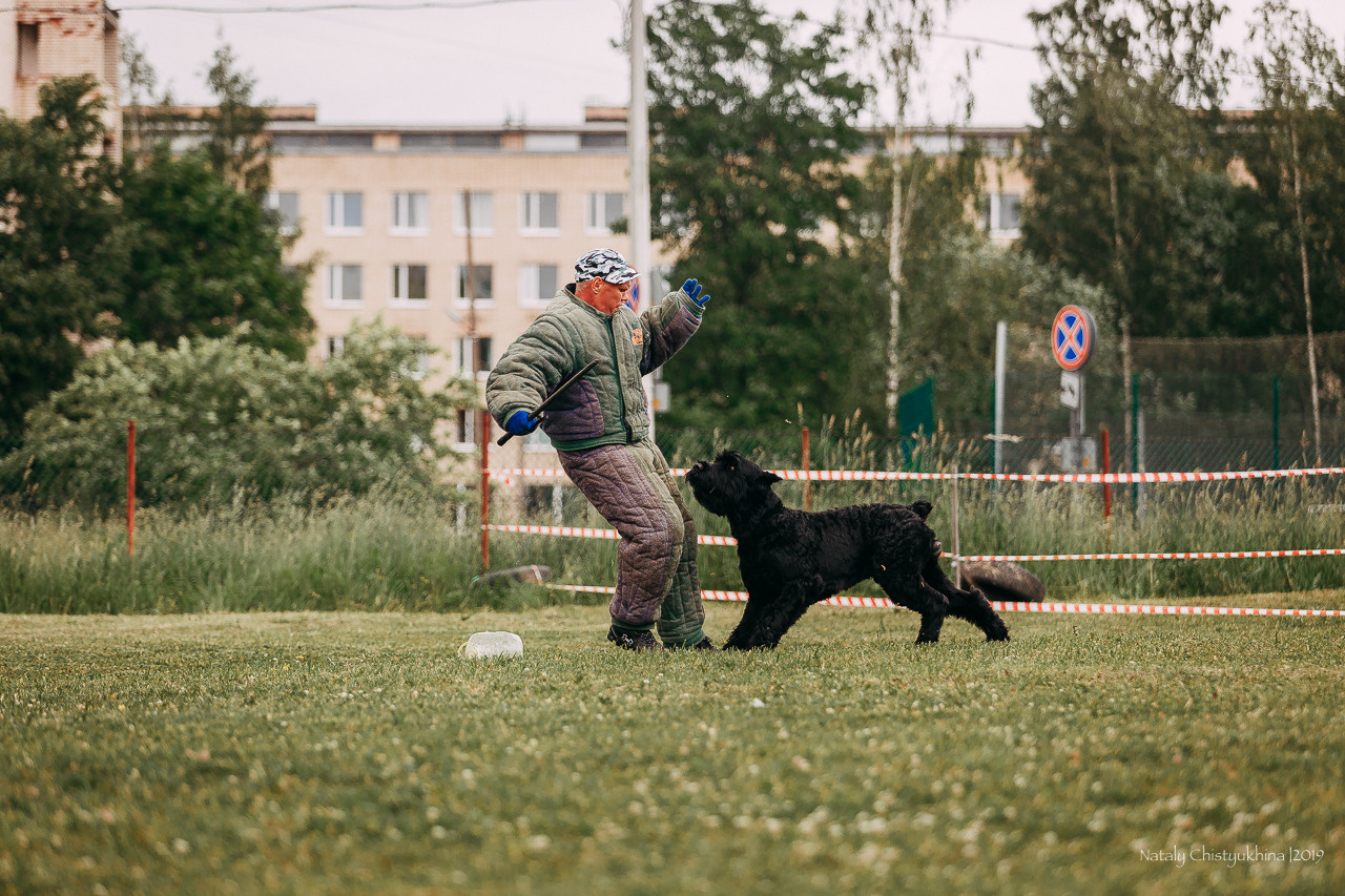 Соревнования БРР. Фотограф-анималист Наталия Чистюхина в г. Сосновый Бор и ЛО