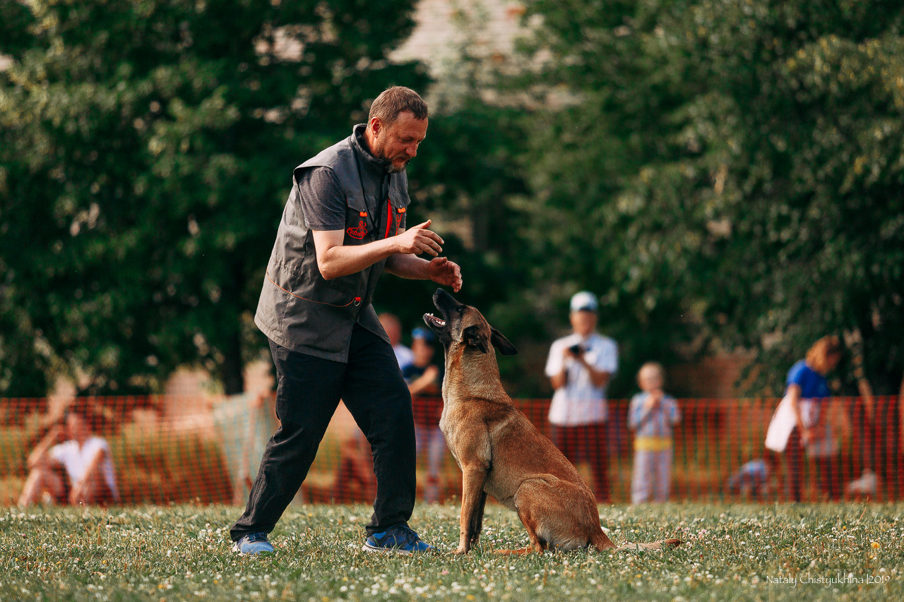 Соревнования по мондьорингу. Фотограф-анималист Наталия Чистюхина в г. Сосновый Бор и ЛО