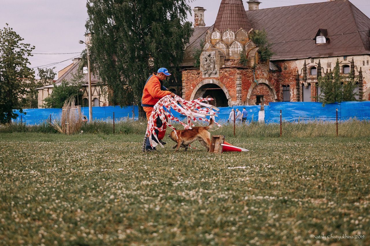 Соревнования по мондьорингу. Фотограф-анималист Наталия Чистюхина в г. Сосновый Бор и ЛО