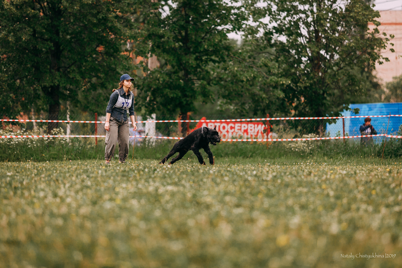 Соревнования БРР. Фотограф-анималист Наталия Чистюхина в г. Сосновый Бор и ЛО