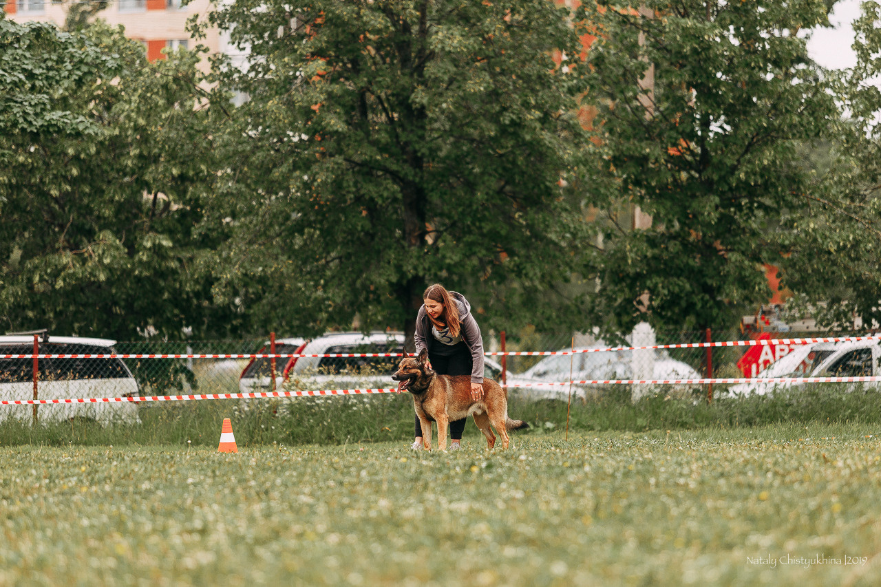 Соревнования БРР. Фотограф-анималист Наталия Чистюхина в г. Сосновый Бор и ЛО