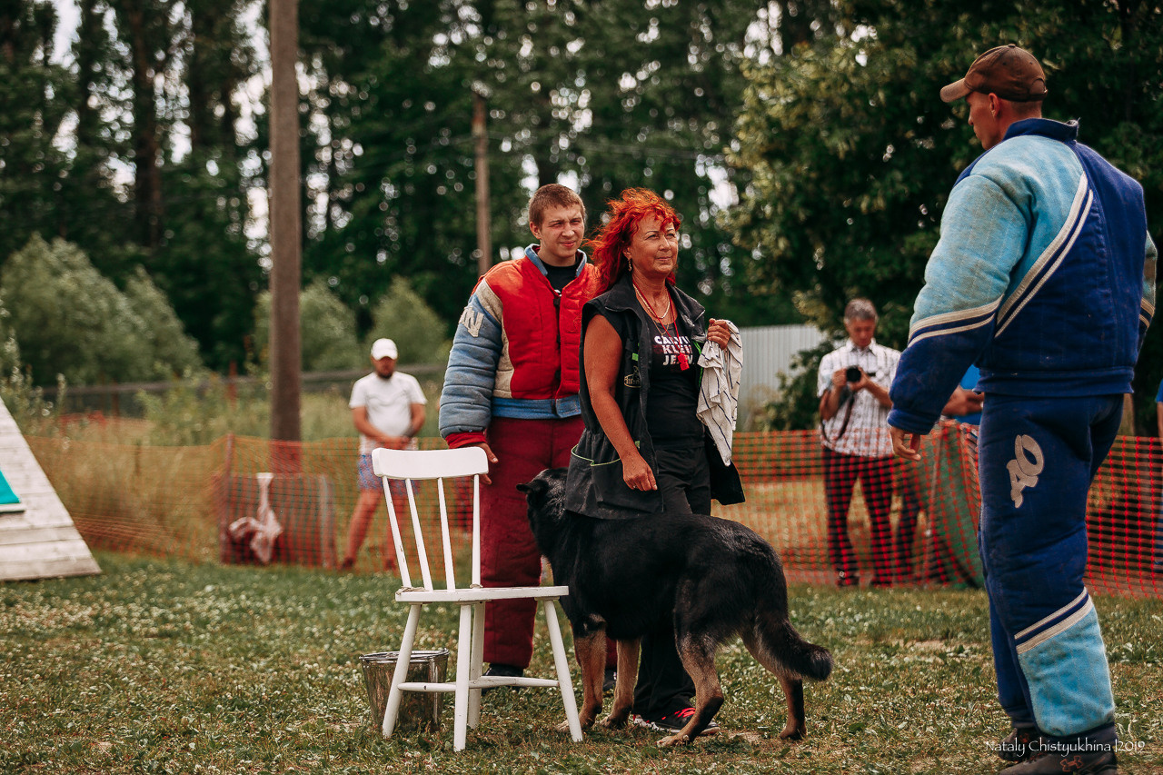 Соревнования по мондьорингу. Фотограф-анималист Наталия Чистюхина в г. Сосновый Бор и ЛО